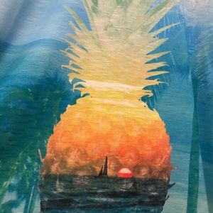 Pineapple! Sun Bay Pineapple t-shirt